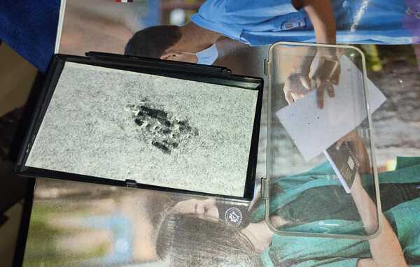 Detienen mujer en Encarnación por presunta distribución de drogas