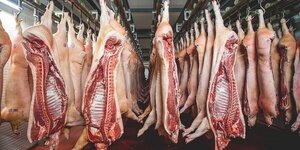 Paraguay ingresó más de USD 10 millones por envíos de carne porcina a Taiwán