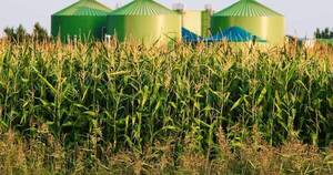 La Nación / Incremento de biocombustibles dará mayor demanda de productos agrícolas