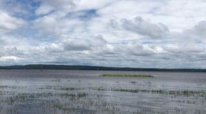 Diario HOY | Paraguay accederá a financiamiento para recuperar el Lago Ypacaraí