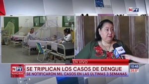 Vigilancia de la Salud observa triplicación de casos de dengue - Noticias Paraguay