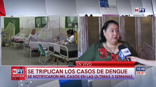 Vigilancia de la Salud observa triplicación de casos de dengue - Noticias Paraguay