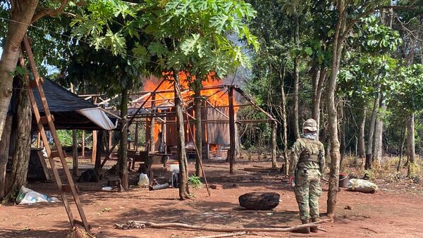 MEDIANTE OPERATIVO ANTINARCÓTICO ANULAN 234 TONELADAS DE MARIHUANA EN CANINDEYÚ - Itapúa Noticias