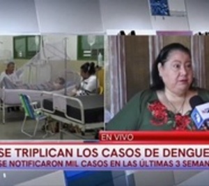 Salud observa triplicación de casos de dengue - Paraguay.com