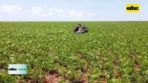 Video: agricultura de precisión con una visión económica e integral  - ABC Rural - ABC Color