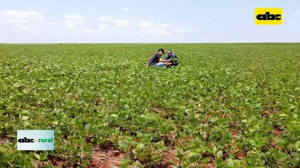 Video: agricultura de precisión con una visión económica e integral - ABC Rural - ABC Color