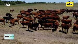 Video: productores del agro argentino, con esperanzas en el presidente Javier Milei - ABC Rural - ABC Color