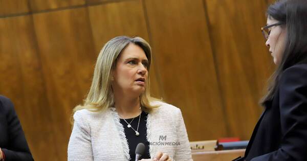 La Nación / Diputada exhorta a tener mayor control de vuelos internos y pistas clandestinas