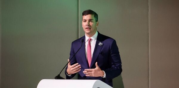 Santiago Pe帽a quiere situar a Paraguay como l铆der de la energ铆a renovable global - Revista PLUS