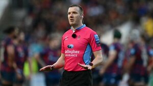 Acosado en internet, el árbitro de la final del Mundial de Rugby puso pausa a su carrera