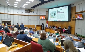 Amplio rechazo al proyecto de ley que crea Superintendencia de Jubilaciones y pedirán postergar su estudio