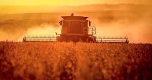 La Nación / Falta de lluvias podría afectar los precios de soja