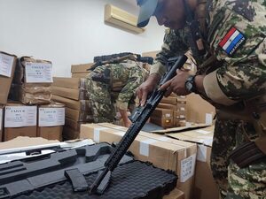 Operación Dakovo: arrancó el operativo conjunto internacional contra el tráfico de armas - trece