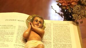 Martes 5 de diciembre 2023 – Evangelio de hoy - Portal Digital Cáritas Universidad Católica