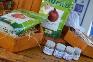 Ocean Quality con múltiples propuestas para horticultura en Agrodinámica 2023