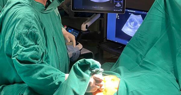 La Nación / En Clínicas realizaron exitosa cirugía fetal intrauterina