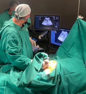 Clínicas: Con éxito la primera cirugía fetal intrauterina » San Lorenzo PY
