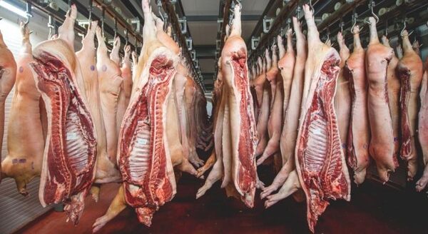 Senacsa confirmó a 9 frigoríficos para enviar carne a EE.UU.