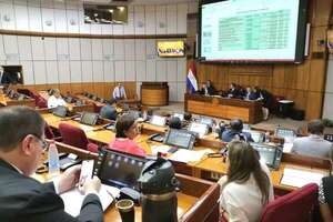 PGN 2024: Senado decide hoy si se ratifica o acepta la versión de Diputados    - Economía - ABC Color