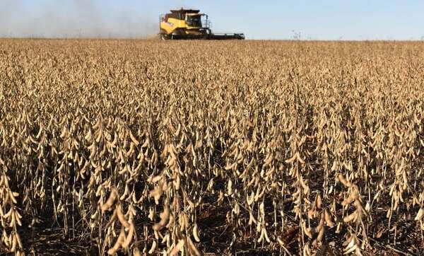 Contratar el seguro agrícola, y aquella frase “ganar-ganar” - Economía - ABC Color