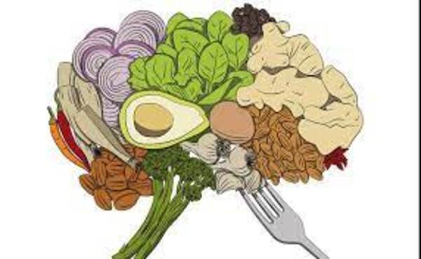 Cerebro y alimentos - El Independiente