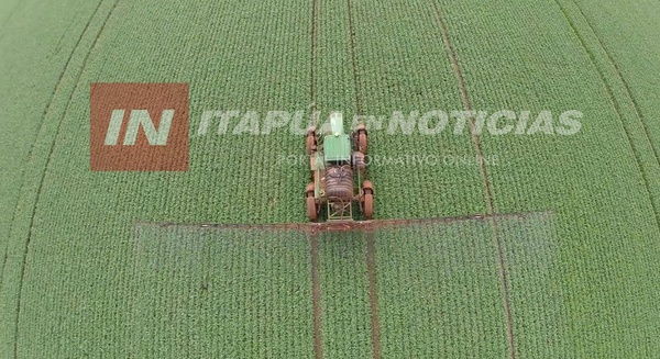 FALTA DE LLUVIAS EN ALGUNAS ZONAS DEL PAÍS Y BRASIL PODRÍA REPERCUTIR EN PRECIOS DE LA SOJA - Itapúa Noticias