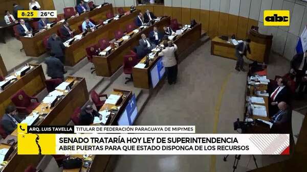 Video: Trataría hoy Ley que crea Superintendencia - ABC Noticias - ABC Color