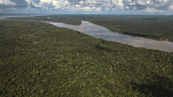 Brasil inicia el proceso para recuperar 40 millones de hectáreas de tierras degradadas - MarketData