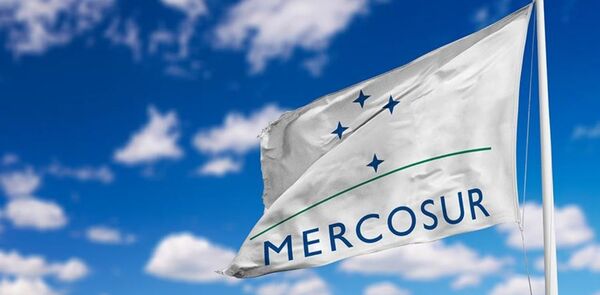 Cumbre Social del Mercosur: la sociedad civil pide un modelo de desarrollo m谩s justo y equitativo - Revista PLUS