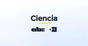 Google lanza Gemini, nueva herramienta de inteligencia artificial que compite con ChatGPT - Tecnología - ABC Color