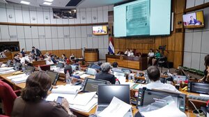 Senadores opositores dejan sin cuórum ley de superintendencia de jubilaciones y pensiones