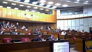 Dejan sin cuórum ley de superintendencia de jubilaciones y pensiones - Noticias Paraguay