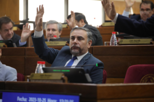 Senador trató de "triunfo parcial" de los jubilados que no se haya tratado ley de Superintendencia - Megacadena - Diario Digital