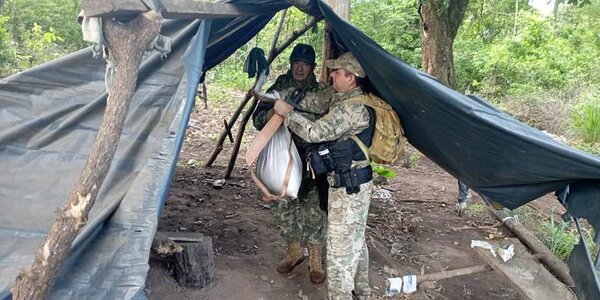 Senad destruyó alrededor de 15 toneladas de marihuana en Bella Vista Norte