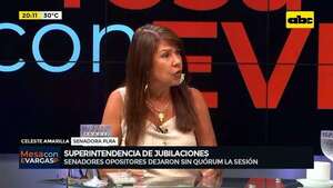 Superintendencia: senadores opositores dejaron sin quórum la sesión  - Mesa de Periodistas - ABC Color
