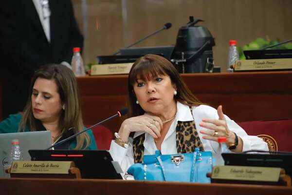 Superintendencia de Jubilaciones: sesión quedó sin quorum, por lo que ocurría en manifestación, afirma Celeste Amarilla - Política - ABC Color