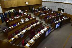 Cámara de Senadores definen si este año tratan la reforma policial - Política - ABC Color