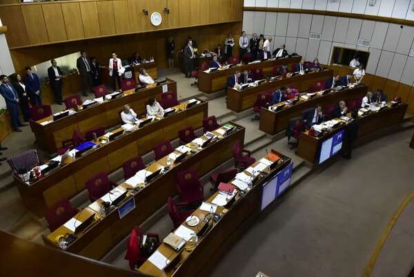 Cámara de Senadores definen si este año tratan la reforma policial - Política - ABC Color