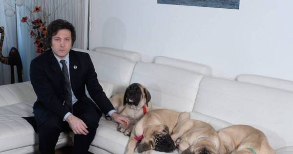 La Nación / Los hijos de cuatro patas de Milei