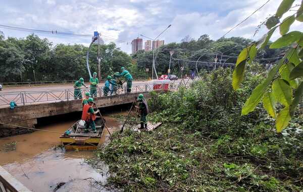 Retiran una gran cantidad de arbustos y camalotes del Lago de la República - La Clave