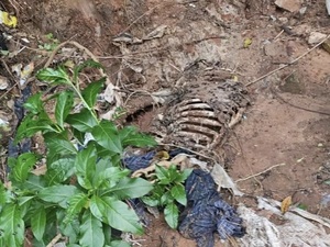 Encontraron lo que parecía ser huesos pero no fueron del militar desaparecido - La Tribuna