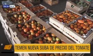 Temen una nueva suba del precio del tomate | Telefuturo