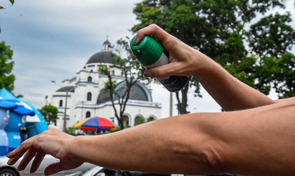 Diario HOY | Lluvias y mosquitos en Caacupé: instan a peregrinos a usar repelente