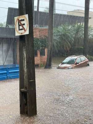 Temporal deja raudales peligrosos, caída de árboles y zonas sin energía - Nacionales - ABC Color