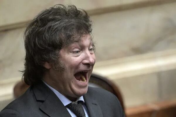 Un gabinete reducido a la mínima expresión para la 'era Milei' - Mundo - ABC Color