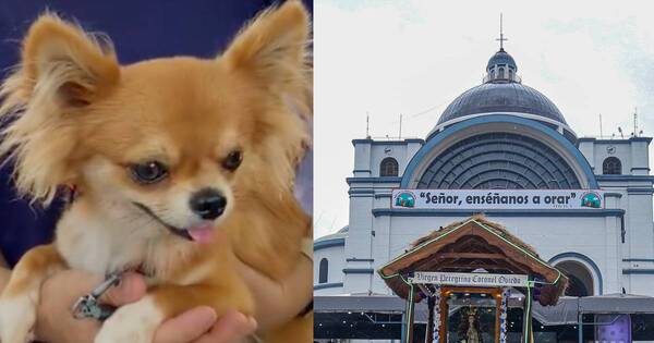 La Nación / Caacupé 2023: perrito visitó la basílica para cumplir promesa