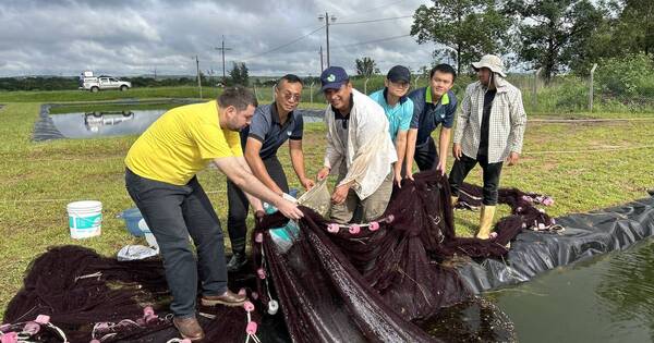 La Nación / Capacitan a productores en acuicultura para fomentarla como rubro de renta