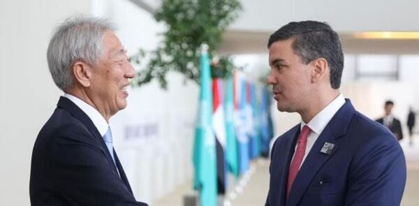 Paraguay y Singapur concluyen negociaciones para cooperaci贸n de cr茅ditos de carbono - Revista PLUS
