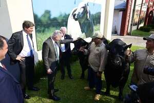 Con proyecto de ley en EE.UU., buscan suspender “visa” a carne paraguaya - Nacionales - ABC Color