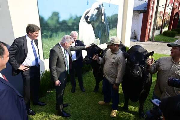 Con proyecto de ley en EE.UU., buscan suspender “visa” a carne paraguaya - Nacionales - ABC Color